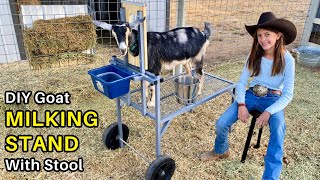 DIY Goat Milking Stand    How to Make it Overbuilt & Understyled (aka painted gray ;)