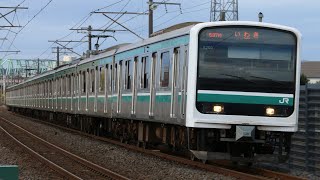 JRE501系K703編成 537M 普通 いわき行き JR常磐線 水戸~勝田 区間
