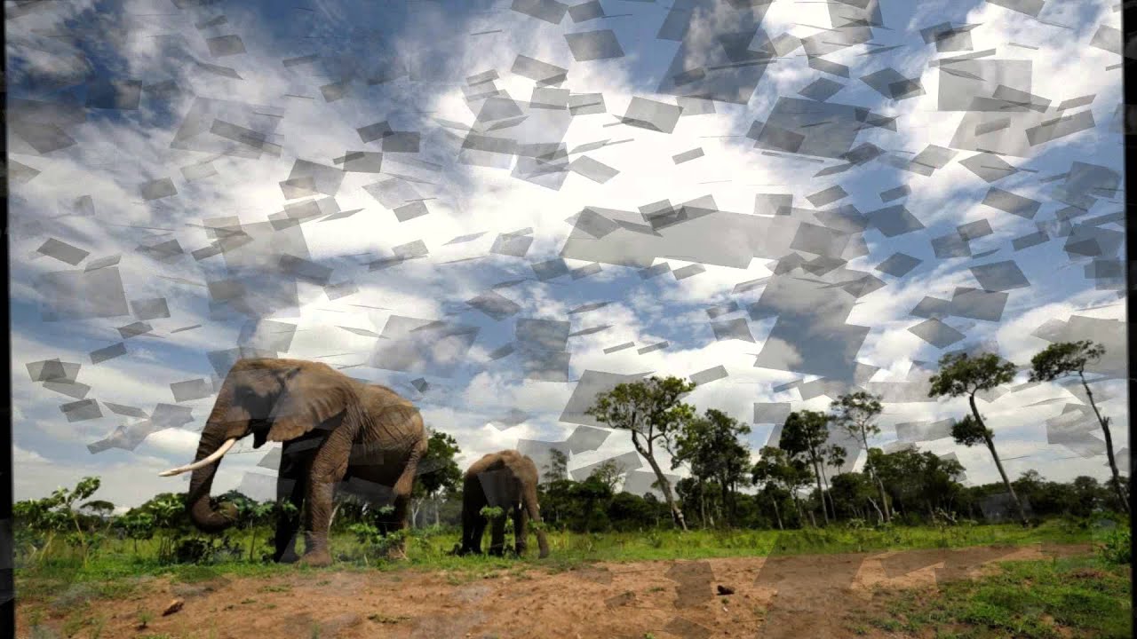 Boochade Boochade lyrics songs race gurram