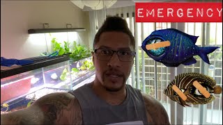 HOW TO HEAL A FIX EYE INJURY!!!