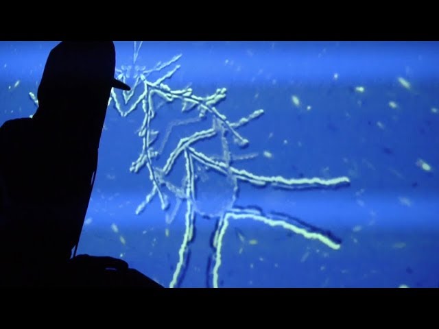 Watch Fyvr - Forget (Music Video) on YouTube Watch Fyvr - Forget (Music Video) on YouTube