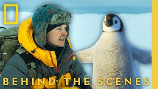 Behind the Lens with Bertie Gregory | Secrets of the Penguins | National Geographic