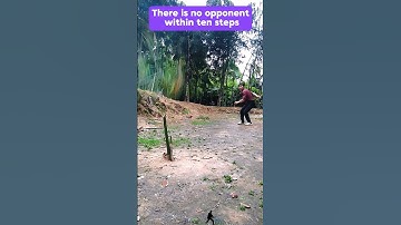 Thumbnail of A folk master has no rival within ten steps #kungfu