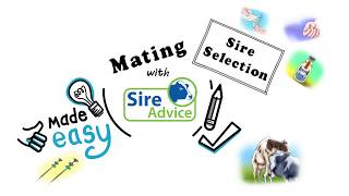 New and Improved HerdPlus Dairy Sire Advice Application screenshot 5