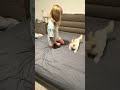 Nighttime Zoomies on the Bed 🌙💨 | Frankie Goes WILD