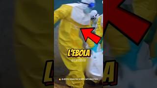 IL VIRUS EBOLA È TORNATO - DOBBIAMO PREOCCUPARCI? 😱#curiosità #informative