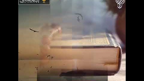 وإن ربك ليعلم ما تكن صدورهم وما يعلنون / القارئ اسلام صبحي / تلاوة القرآن الكريم بصوت جميل وهادئ