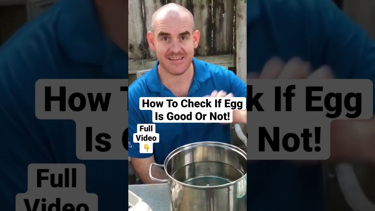 How to Tell if You Have a Rotten Egg - The Happy Housewife™ :: Cooking