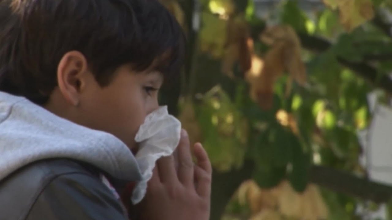 Allergy Season Arrives YouTube