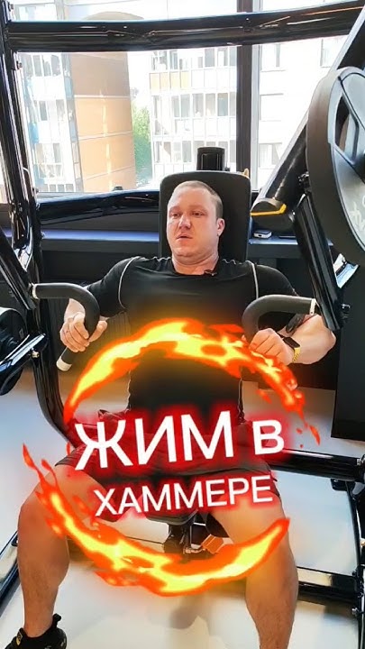 Жим в хаммере #shorts #zaitsevFit #fitness - YouTube