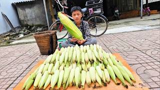 Nam harvested the field of corn he had planted four months earlier and sold it.