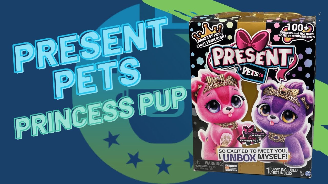 Present Pets Surprise Toy Unboxing Review Sparkle or Diamond