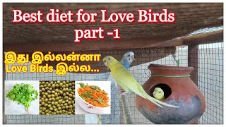 Love Birds க்கு ஊட்டச்சத்துள்ள உணவுகளும் அதன் பயன்களும்  part 1 | best foods for Love Bird in tamil