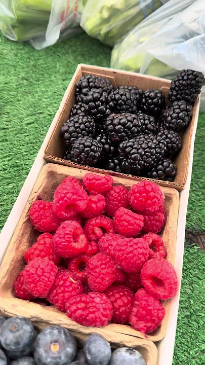 Can You Guess the Sweetest Berry? #blueberries #blackberries #shorst