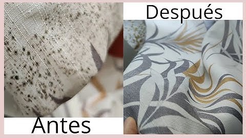 ¡FÁCIL! Elimina las manchas de moho en la ropa y otros textiles | Simply Dunia