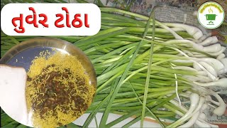 તુવેર ના ટોઠા - Tuver Na Totha - Gujarati Recipe - Shaak - Mehsana Ni Famous Recipe