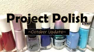 Project Polish | Update No. 19