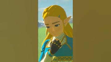 Zelda Wants Link to Eat What?