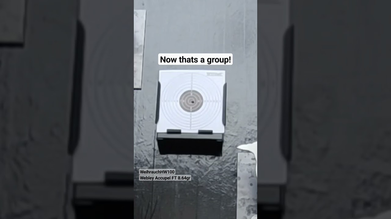 Pellet on pellet accuracy from the Weihrauch HW100 