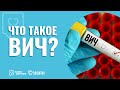 ЧТО ТАКОЕ ВИЧ? (Вирус иммуннодефицита человека)