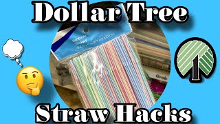 This Video Will Make You Want These Straws! || Dollar Tree DIY's