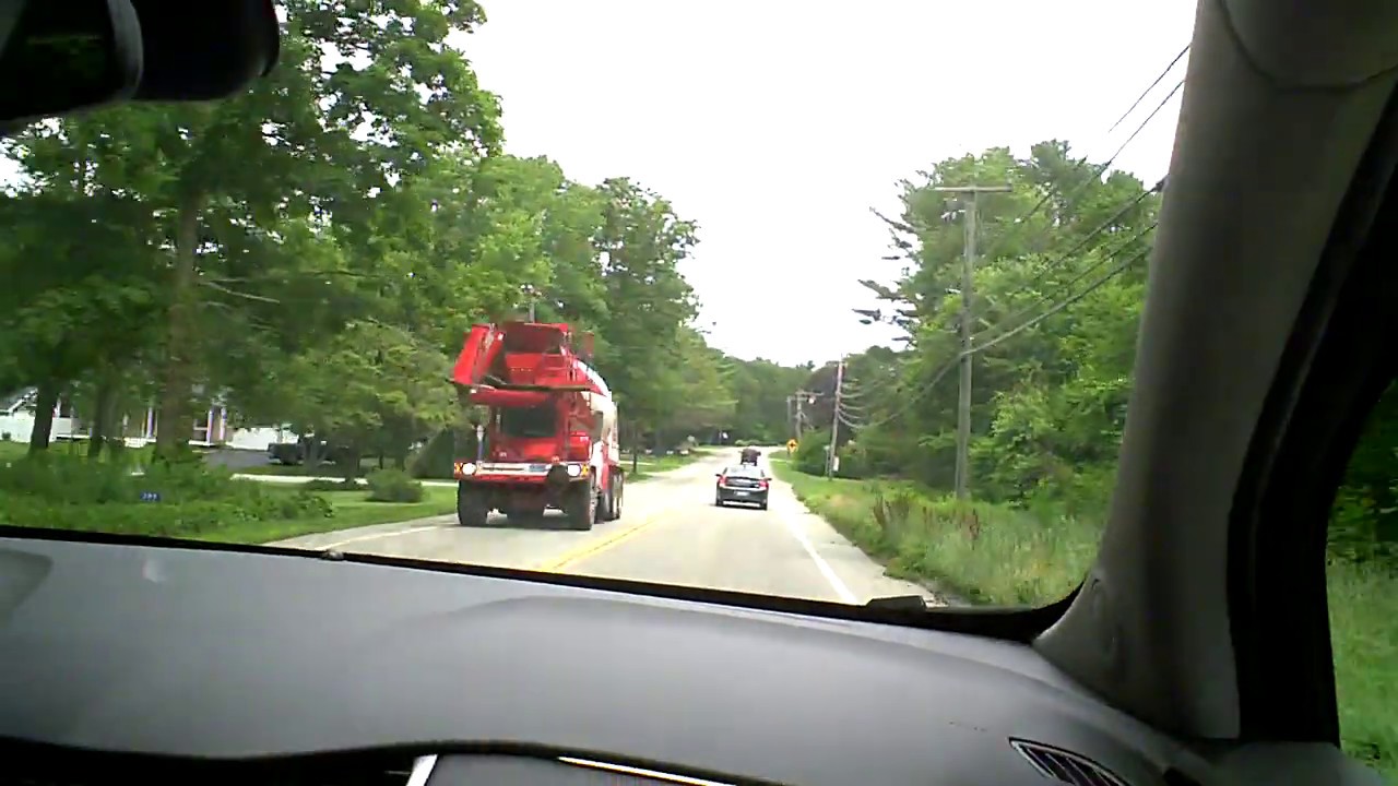 Sharon has a dog jump out of a truck story... YouTube