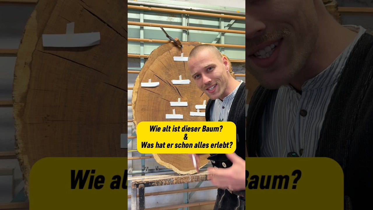 Dieser Baum ist ein lebendes Geschichtsbuch! 