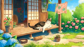 Chilling Alone, But Happy 🍃 Lofi Spring Vibes 🍃 Morning Lofi Songs To Chill And Relax At The Weekend