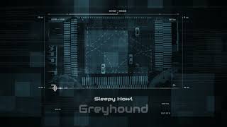 Sleepii - Greyhound Visualizer
