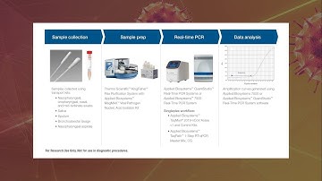 End to end workflow solutions for SARS-CoV-2 testing