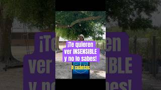 ¡Te quieren ver INSENSIBLE y no lo sabes!