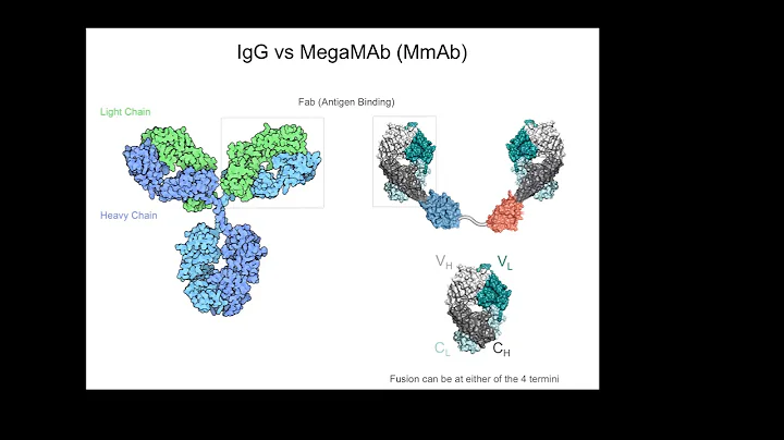 2020 Synthetic Biology in Oncology Rapid-Fire Work...