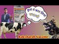 रेबीज से अपने पशुओं को कैसे बचाएं | anti rabies vaccine कौन सा है | vaccination schedule #raksharab