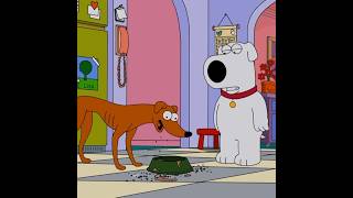 Family Guy: Dogs Eat in the Kitchen #familyguy #funny #dogs #simpsons