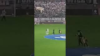 Skrzypce Górnik Zabrze Kocham Cię Przed Meczem Górnik Zabrze - Jagiellonia Białystok