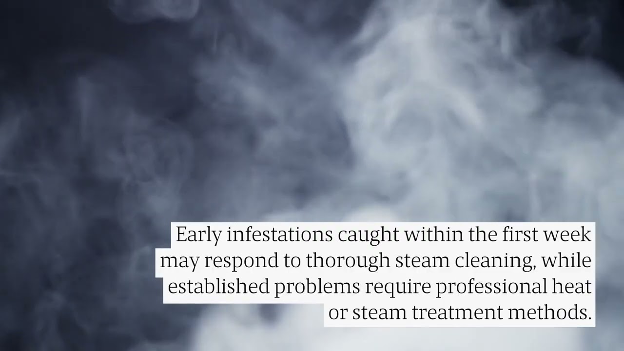 How Sacramento Residents Are Beating Bed Bugs Without Toxic Chemicals