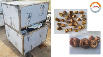 Semi automatic medjool dates seed removing machine palm dates pitting stoning machine date pitter