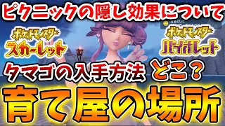 【ポケモンSV】育て屋・預かり屋の場所について。今作のタマゴ厳選・ピクニックの隠し効果について【スカーレット/バイオレット/ムゲンダイナ/アプデ/パルデア/内定ポケモン/個体値/努力値/厳選/種族値】