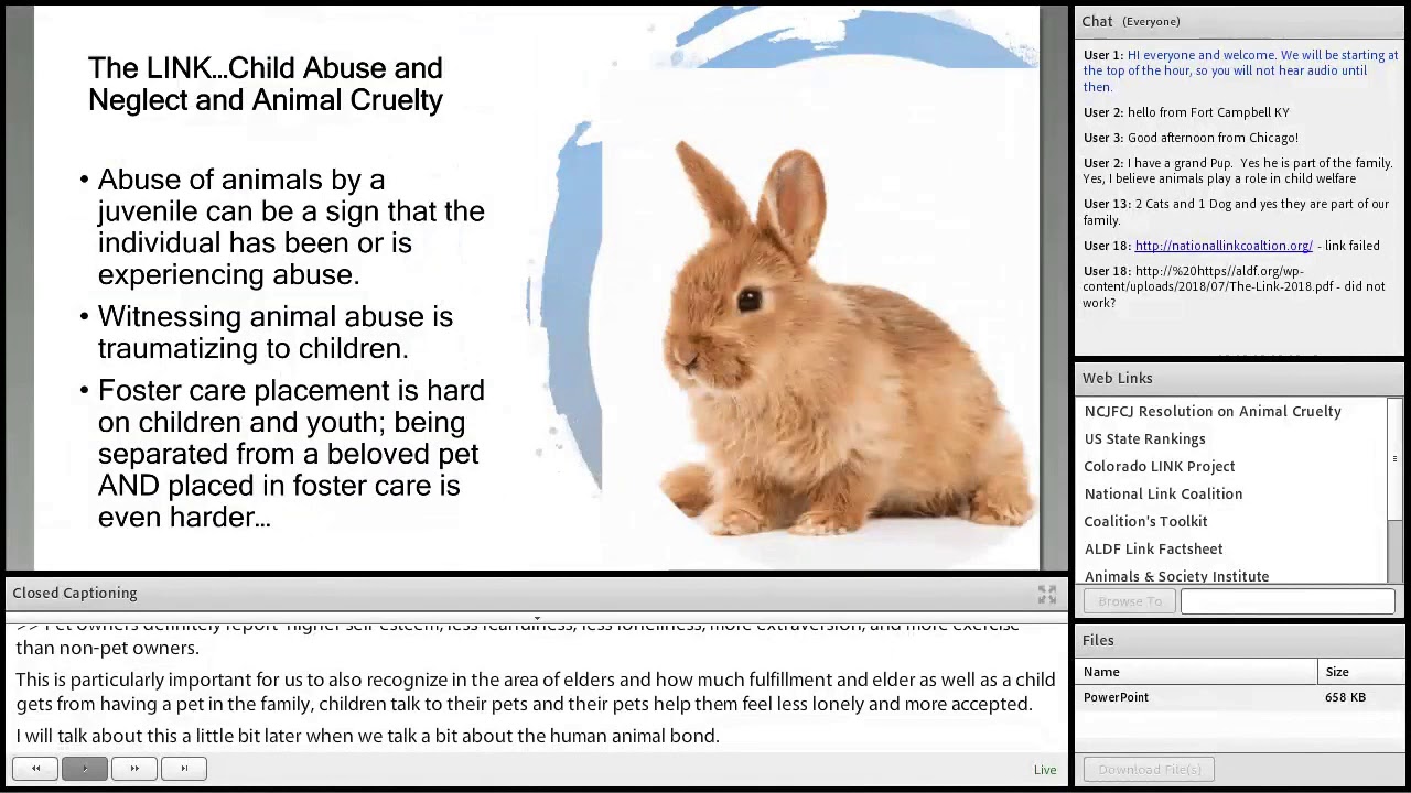 Animal Cruelty and Child Abuse - YouTube