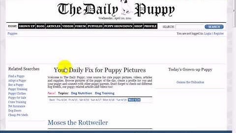 Learn About Internet Explorer 9 Browser - Part 2