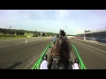 Harness Racing Up Close: Jody Jamieson - Helmet Cam