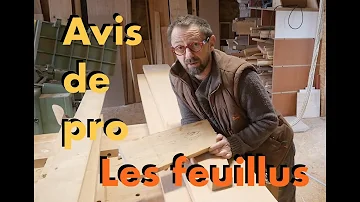 Quelles sont les principales différences entre les feuilles des feuillus et celles des conifères ?