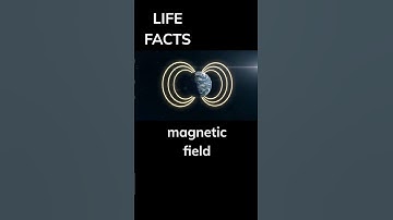 #207 The Shield of Life: Exploring Earth