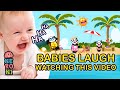 Make a baby laugh in seconds with goofy panda  beebee  beach picnic  neroni kids