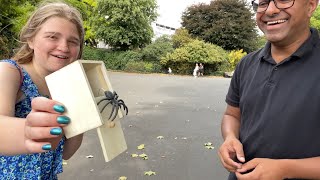 SPIDER IN A BOX PRANK  2