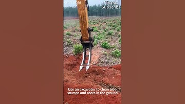 Use an excavator to remove tree roots from the ground