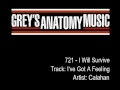 Grey's Anatomy 721 - Calahan - I've Got A Feeling