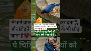 चिड़िया बनाम मछली🐬🦅🐍🐕🐘 #help #rescue #shorts #viral