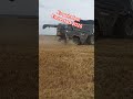 Erntestart Biodinkel 2025! Fendt Ideal8 #winzerhofmann #landwirtschaft #farming #vlog47 #agriculture