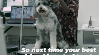 Crossroads Pets - #PurchaseWithAPurpose